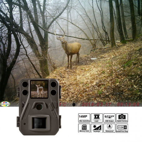 Petite caméra animalière HD 14 millions de pixels - Caméra de chasse classique