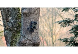 Comparison of our 3 best trail cameras