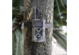 Trail camera, a good idea?